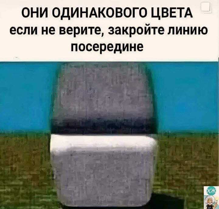 ОНИ ОДИНАКОВОГО ЦВЕТА если не верите закройте линию посередине