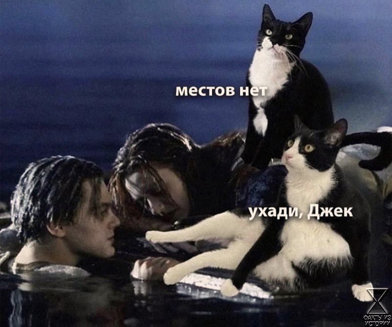 местов н