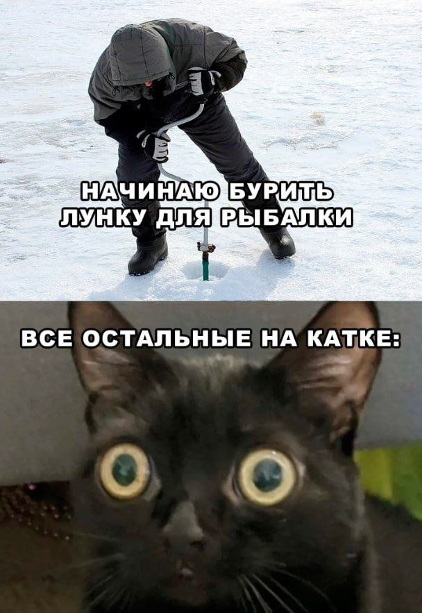 ВСЕ ОСТАЛЬНЫЕ НА КАТКЕ