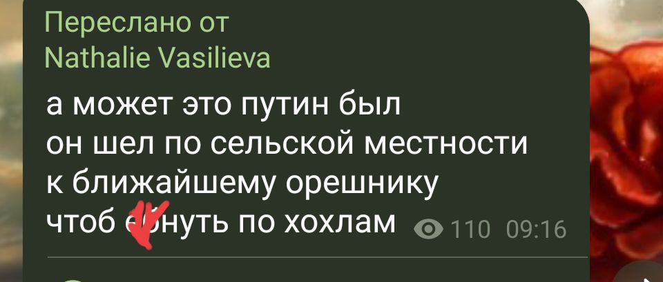 Переслано от МаВайе Уазеуа а может это путин был он шел по сельской местности к ближайшему орешнику и рч В чтоб уть по хохлам 110 0916