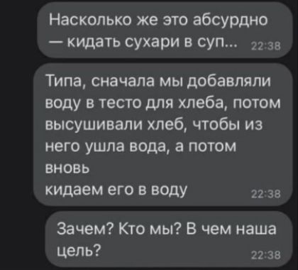 Насколько же это абсурдно кидать сухари в суп 2238 Типа сначала мы добавляли воду в тесто для хлеба потом высушивали хлеб чтобы из него ушла вода а потом вновь кидаем его в воду 2238 Зачем Кто мы В чем наша цель 2238