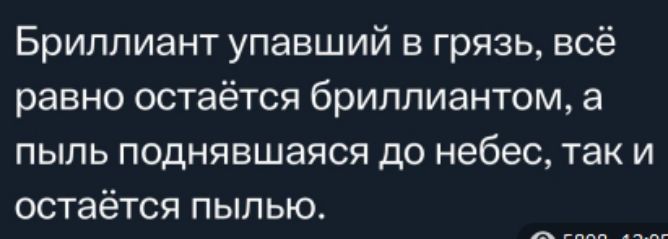 Бриллиант упавший в грязь всё равно остаётся бриллиантом а пыль поднявшаяся до небес таки остаётся пылью