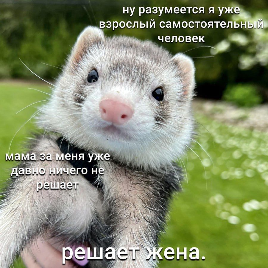 ну разумеется я у