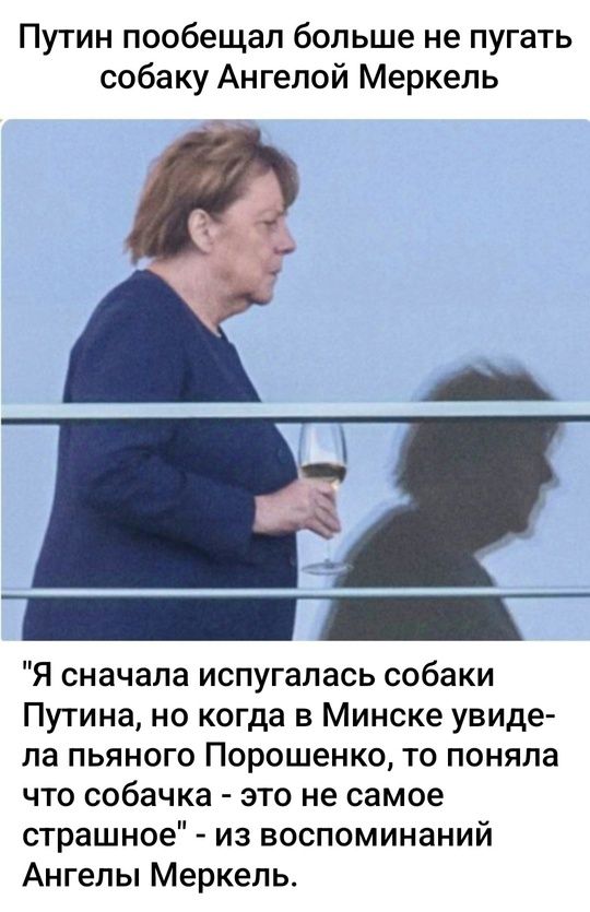 Путин пообещал больше не пугать собаку Ангелой Меркель Я сначала испугалась собаки Путина но когда в Минске увиде ла пьяного Порошенко то поняла что собачка это не самое страшное из воспоминаний Ангелы Меркель