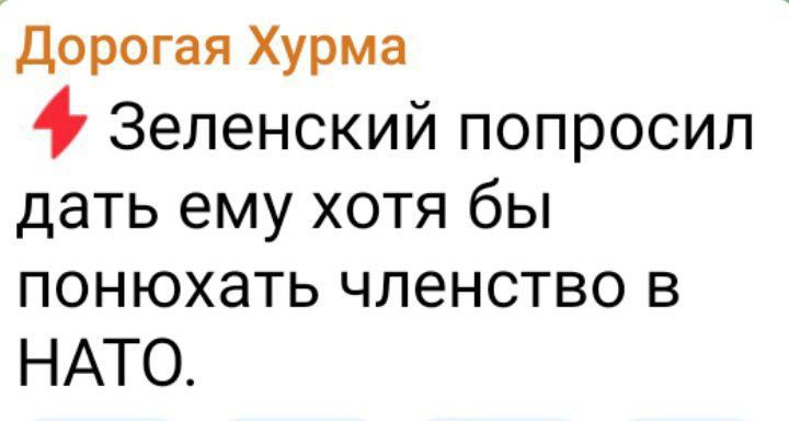 Дорогая Хурма 4 Зеленский попросил дать ему хотя бы понюхать членство в НАТО