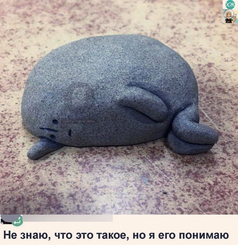 Не знаю что это такое но я его понимаю