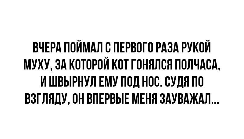 ВЧЕРА ПОЙМАЛ С ПЕРВОГО РАЗА РУКОЙ МУХУ ЗА КОТОРОЙ КОТ ГОНЯЛСЯ ПОЛЧАСА И ШВЫРНУЛ ЕМУ ПОД НОС СУДЯ ПО ВЗГЛЯДУ ОН ВПЕРВЫЕ МЕНЯ ЗАУВАЖАЛ