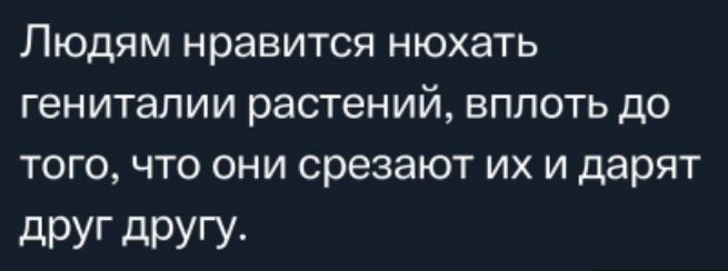 Людям нравится нюхать гениталии растений вплоть до того что они срезают их и дарят друг другу