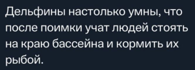 Дельфины настолько умны что после поимки учат людей стоять на краю бассейна и кормить их рыбой