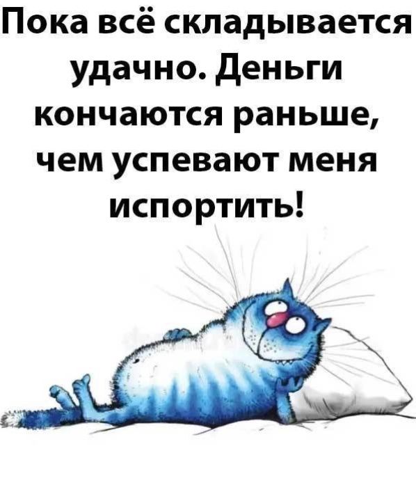 Пока всё складывается удачно Деньги кончаются раньше чем успевают меня испортить