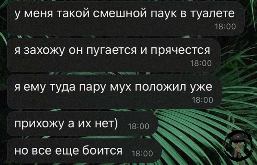 у меня такой смешной паук в туалете 1800 я захожу он пугается и прячестся 1800 яему туда пару мух положил уже 1800 прихожу а их нет 1з00 9 атА но все еще боится в 00 Н Е НЕсКо о