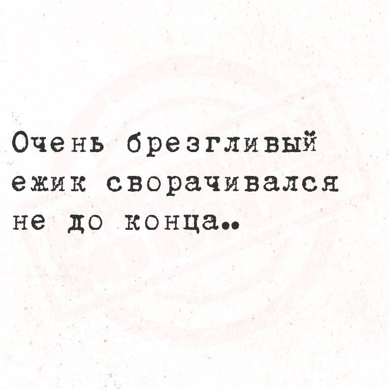 Очень брезгливый ежик сворачивался не до конца