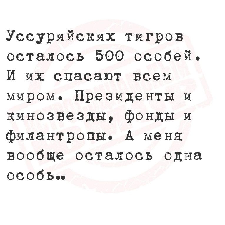 Уссурийских тигров осталось 500 особей И их спасают всем миром Президенты и кинозвезды фонды и филантропы А меня вообще осталось одна особъье