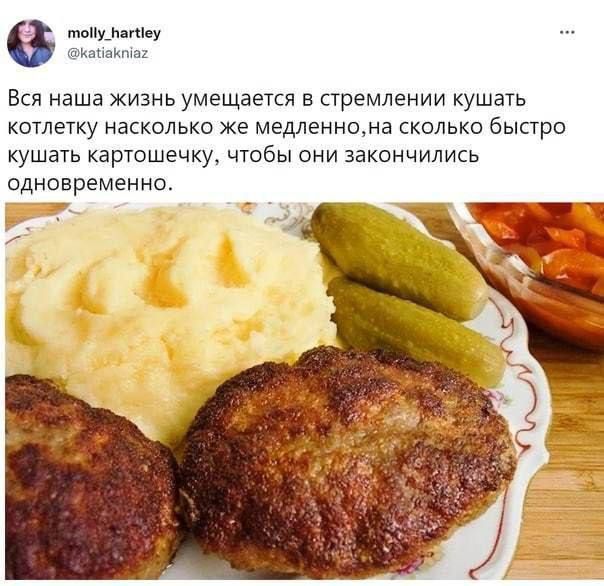 тойу_агчеу кацактог Вся наша жизнь умещается в стремлении кушать котлетку насколько же медленнона сколько быстро кушать картошечку чтобы они закончились одновременно