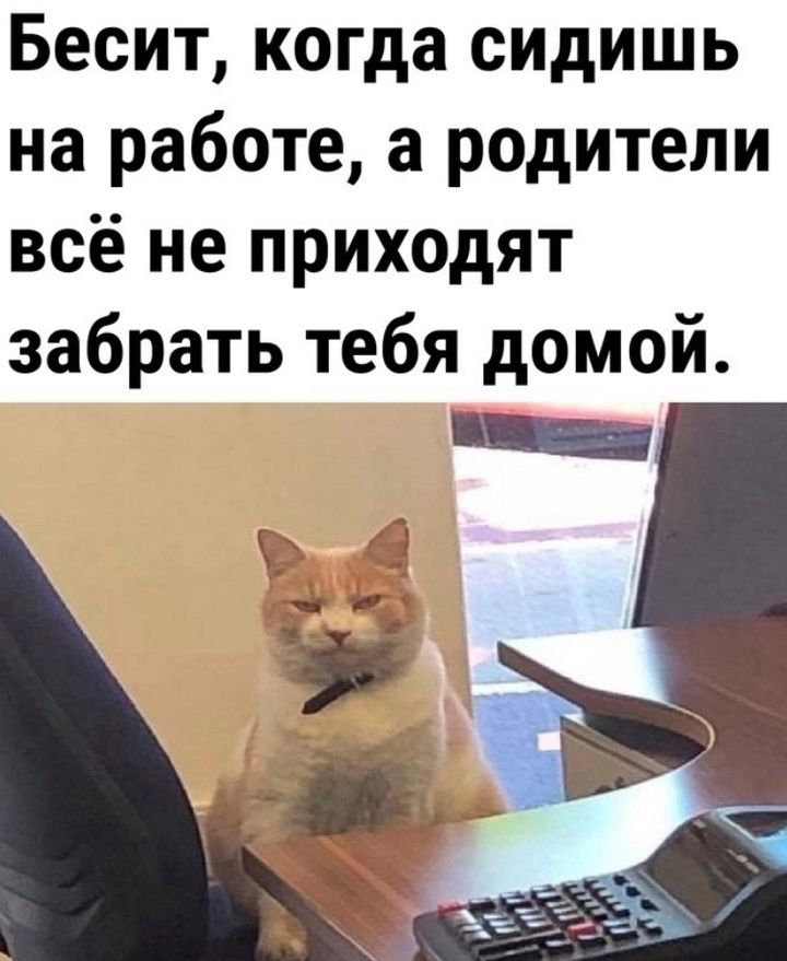 Бесит когда сидишь на работе а родители всё не приходят забрать тебя домой