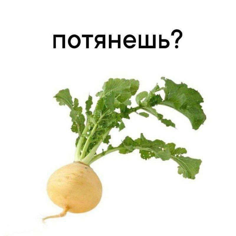 потянешь