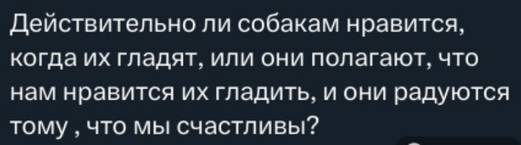 Действительно ли собакам нравится когда их гладят или они полагают что нам нравится их гладить и они радуются тому что мы счастливы