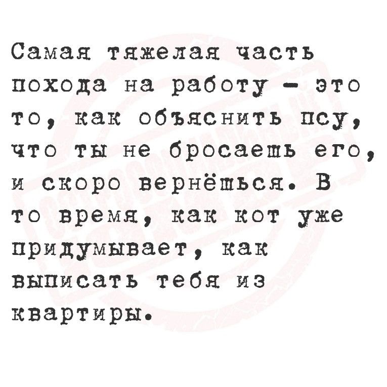 Самая тяжелая часть похода на работу это то как объяснить псу что ты не бросаешь его и скоро вернёшься В то время как кот уже придумывает как выписать тебя из квартиры