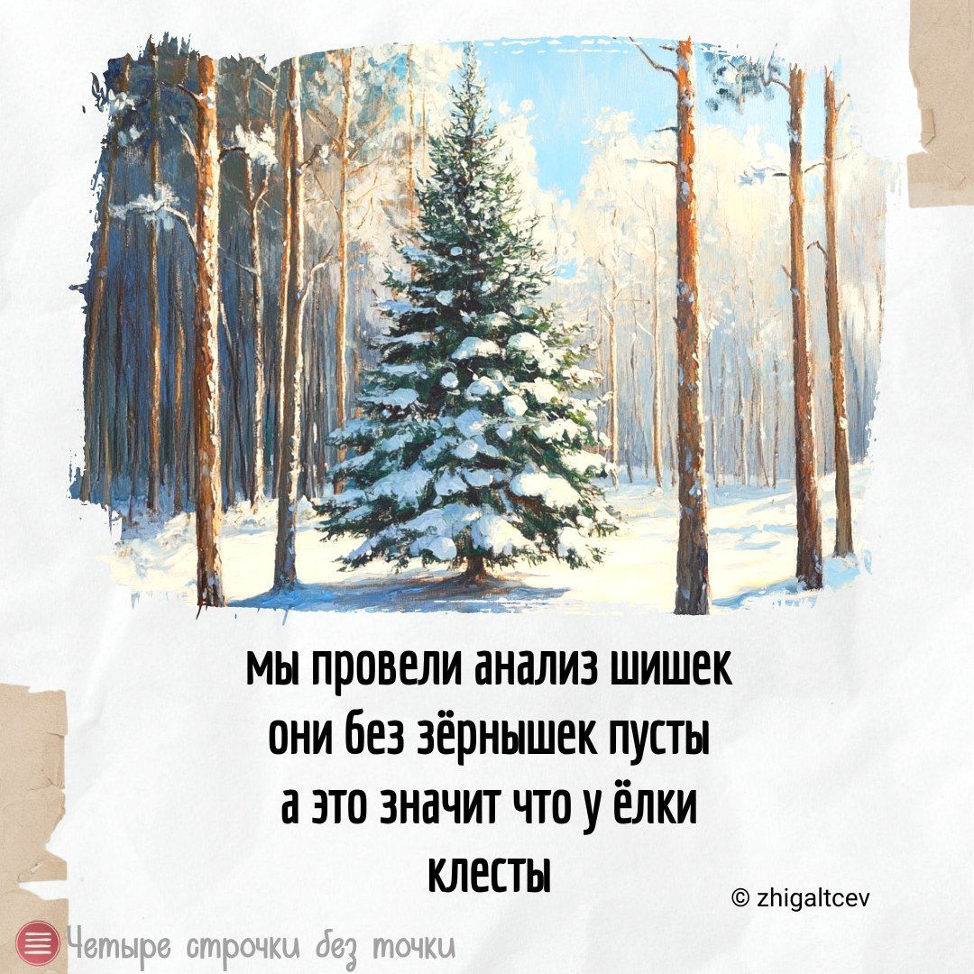 мы провели анализ шишек 1 они без зёрнышек пусты а это значит что у ёлки клесты о точки гтдансеу