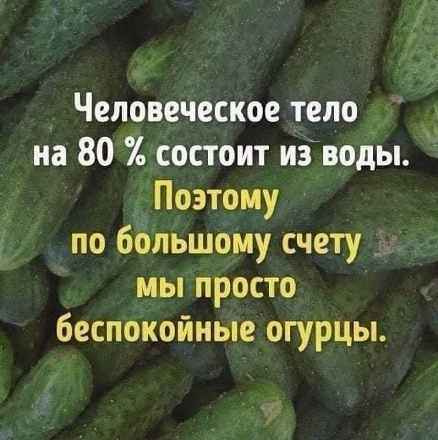 Человеческое тело _ на 80 состоит из воды Поэтому по большому счету мы просто беспокойные огурцы Е