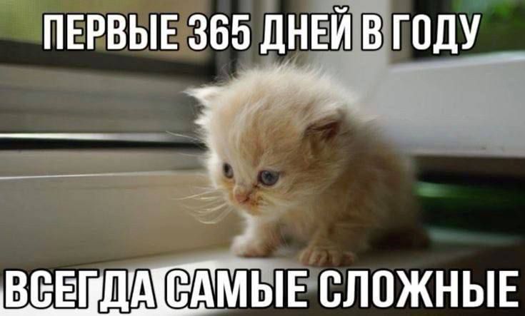 ПЕРВЫЕ 365 ДНЕ ВСЕПЛАТСАМЫЕСЛОЖНЫЕ