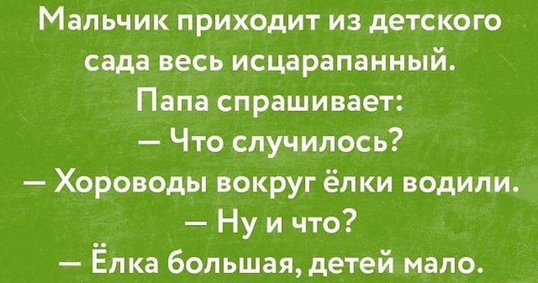 Мальчик приходит из детского сада весь исцарапанный Папа спрашивает Что случилось Хороводы вокруг ёлки водили Ну ичто Ёлка большая детей мало