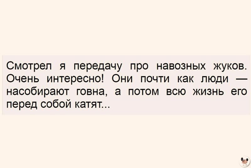 Смотрел я передачу про навозных жуков Очень интересно Они почти как люди насобирают говна а потом всю жизнь его перед собой катят