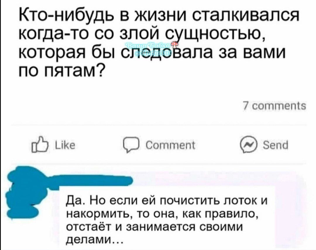 Кто нибудь в жизни сталкивался когда то со злой сущностью которая бы следоВала за вами по пятам 7 соттет5 05 ке СЭ соттет зепа Да Но если ей почистить лоток и накормить то она как правило отстаёт и занимается своими делами