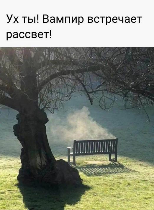 Ух ты Вампир встречает рассвет