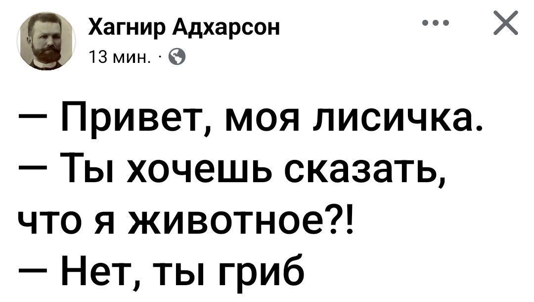 Хагнир Адхарсон 13 мин Привет моя лисичка Ты хочешь сказать что я животное Нет ты гриб