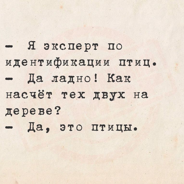 Я эксперт по идентификации птиц Да ладно Как насчёт тех двух на дереве Да это птицы