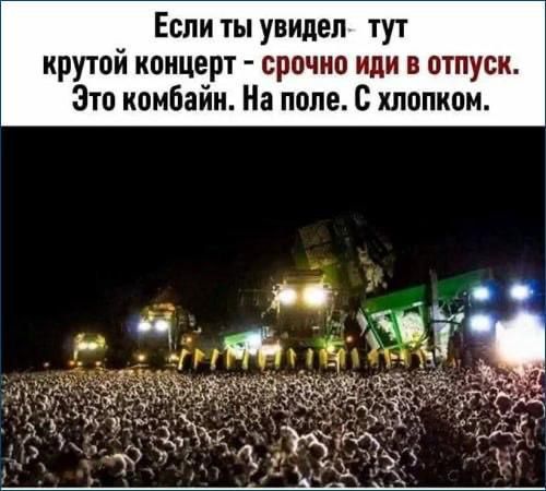 Если ты увидел тут крутой концерт срочно иди в отпуск Это комбайн На поле С хлопком