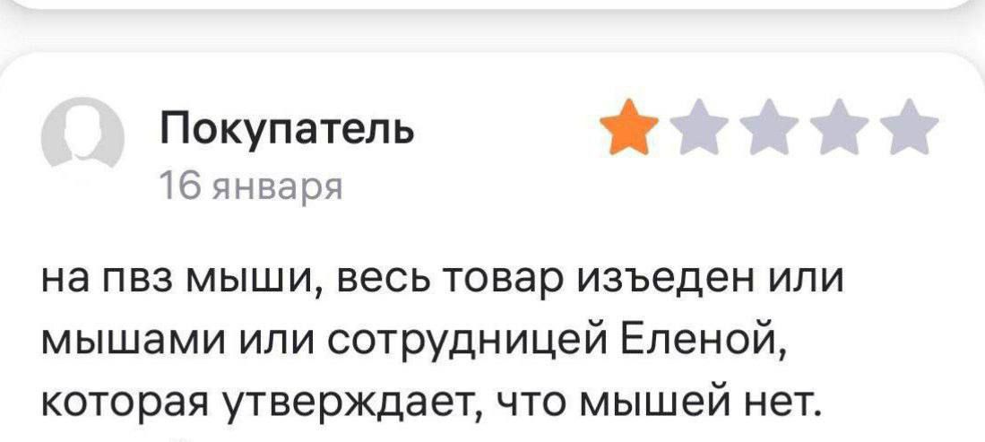 Покупатель 16 января на пвз мыши весь товар изъеден или мышами или сотрудницей Еленой которая утверждает что мышей нет