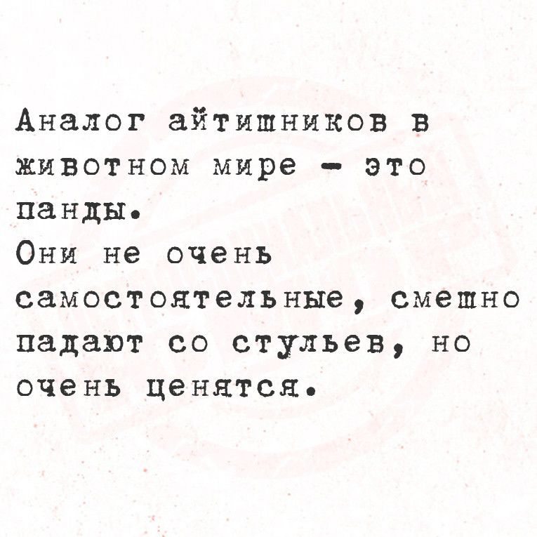 Аналог айтишников в животном мире это панды Они не очень самостоятельные смешно падают со стульев но очень ценятся