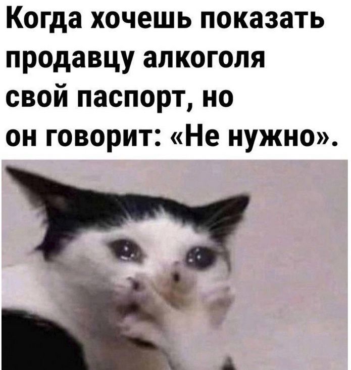 Когда хочешь показать продавцу алкоголя свой паспорт но он говорит Не нужно