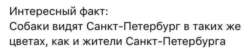 Интересный факт Собаки видят Санкт Петербург в таких же цветах как и жители Санкт Петербурга