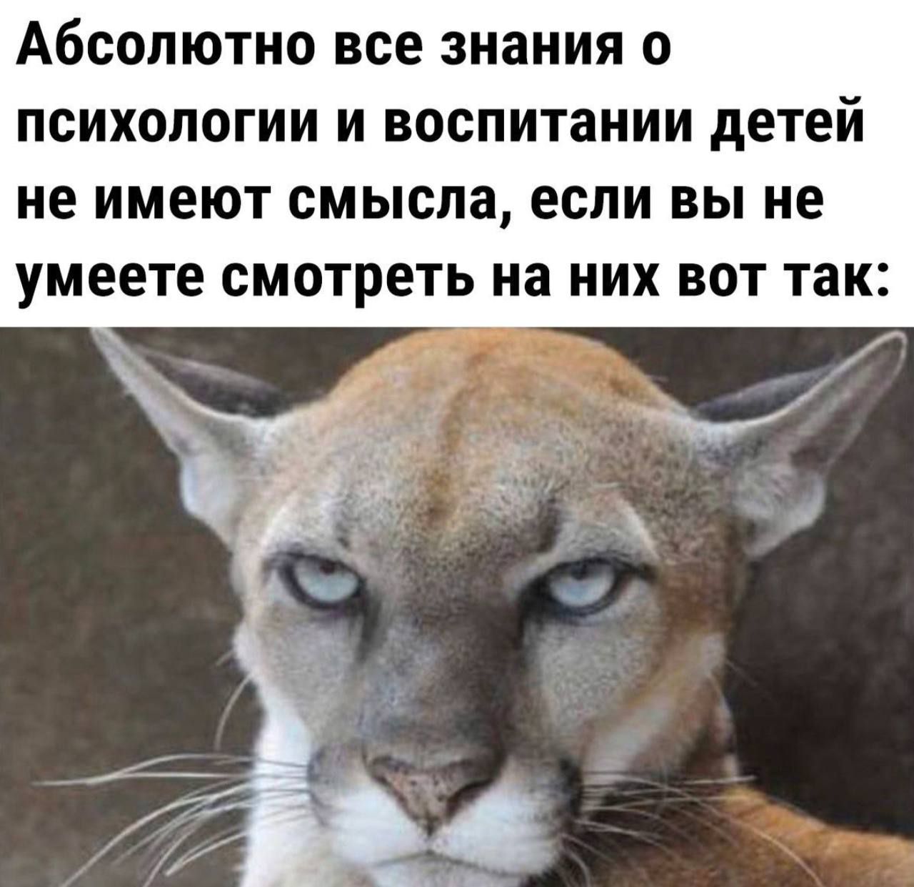 Абсолютно все знания о психологии и воспитании детей не имеют смысла если вы не умеете смотреть на них вот так