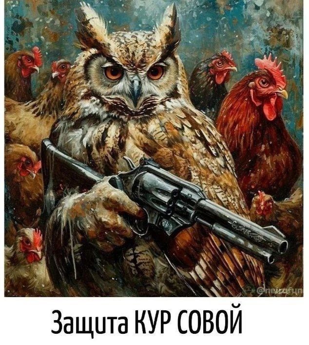 Защита КУР СОВОЙ