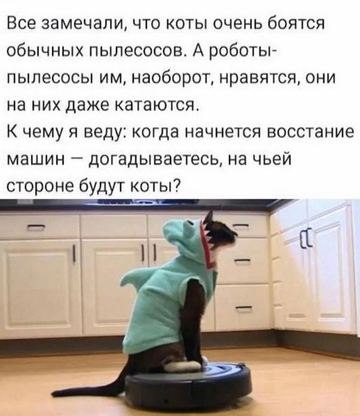 Все замечали что коты очень боятся обычных пылесосов А роботы пылесосы им наоборот нравятся они на них даже катаются К чему я веду когда начнется восстание машин догадываетесь на чьей стороне будут коты