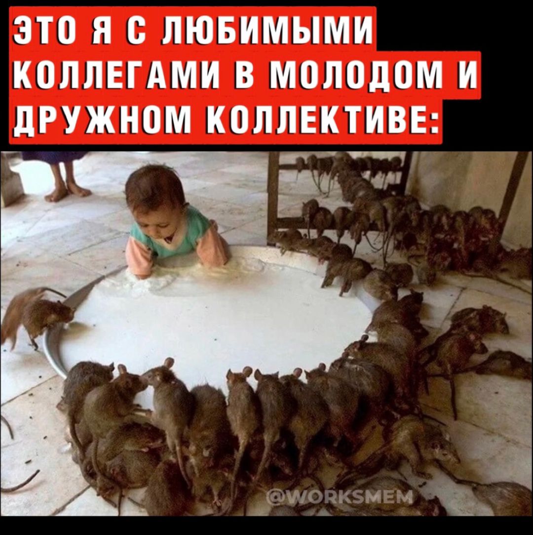 ЭТО Я С ЛЮБИМЫМИ КОЛЛЕГАМИ В МОЛОДОМ И дРУЖНПМ КПЛЛЕКТИВЕ