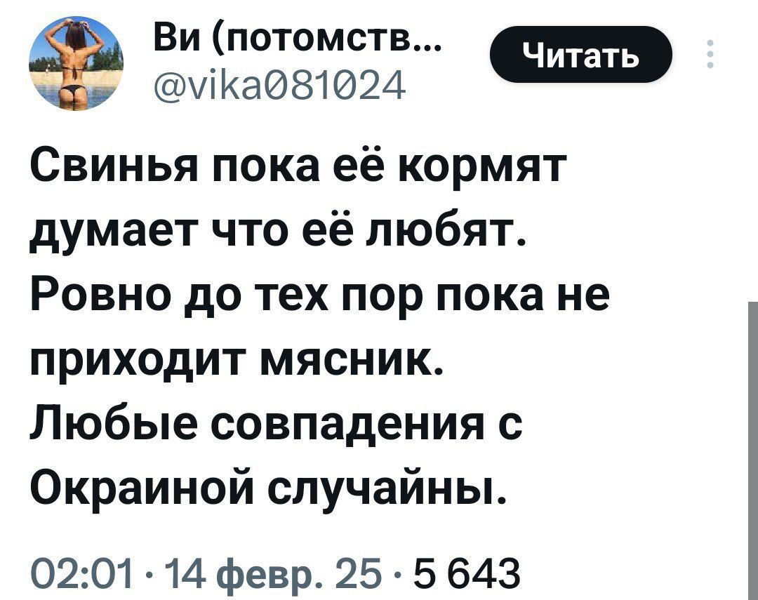 енновноа Свинья пока её кормят думает что её любят Ровно до тех пор пока не приходит мясник Любые совпадения с Окраиной случайны 0201 14 февр 25 5 643