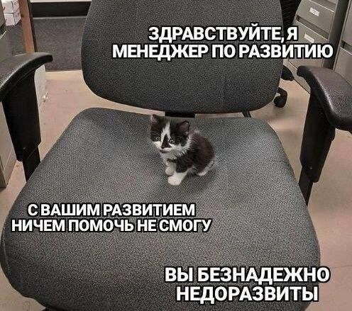 НЕДОРАЗВИТЫ