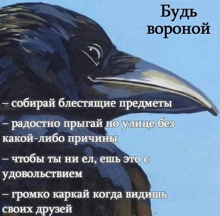 Будь вороной чтобы ты ни ел ешь удовольствием громко каркай когда вид своих друзей