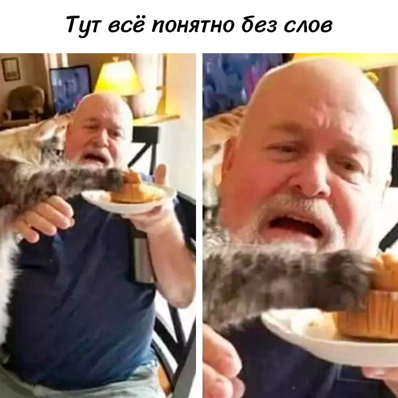 Тут всё понятно без слов