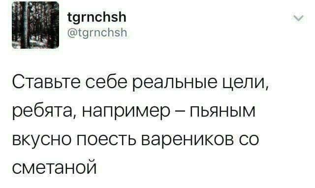 агпсб5Ю агпс5 Ставьте себе реальные цели ребята например пьяным вкусно поесть вареников со сметаной