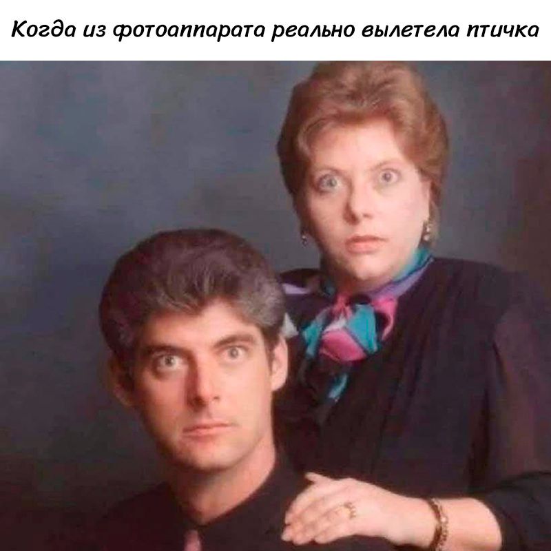 2да из фотоаппарата реально вылетела птичка