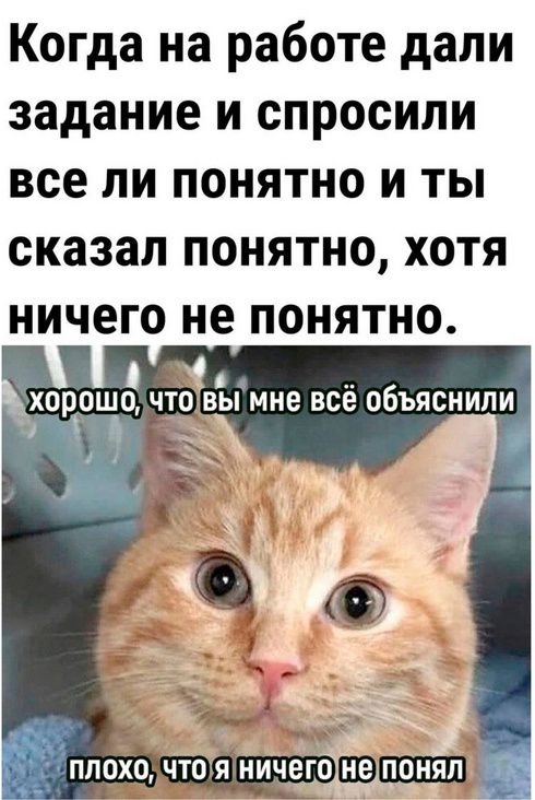 Когда на работе дали задание и спросили все ли понятно и ты сказал понятно хотя ничего не понятно й 2 В хор_ошо чтОвЫ мне всё объяснили