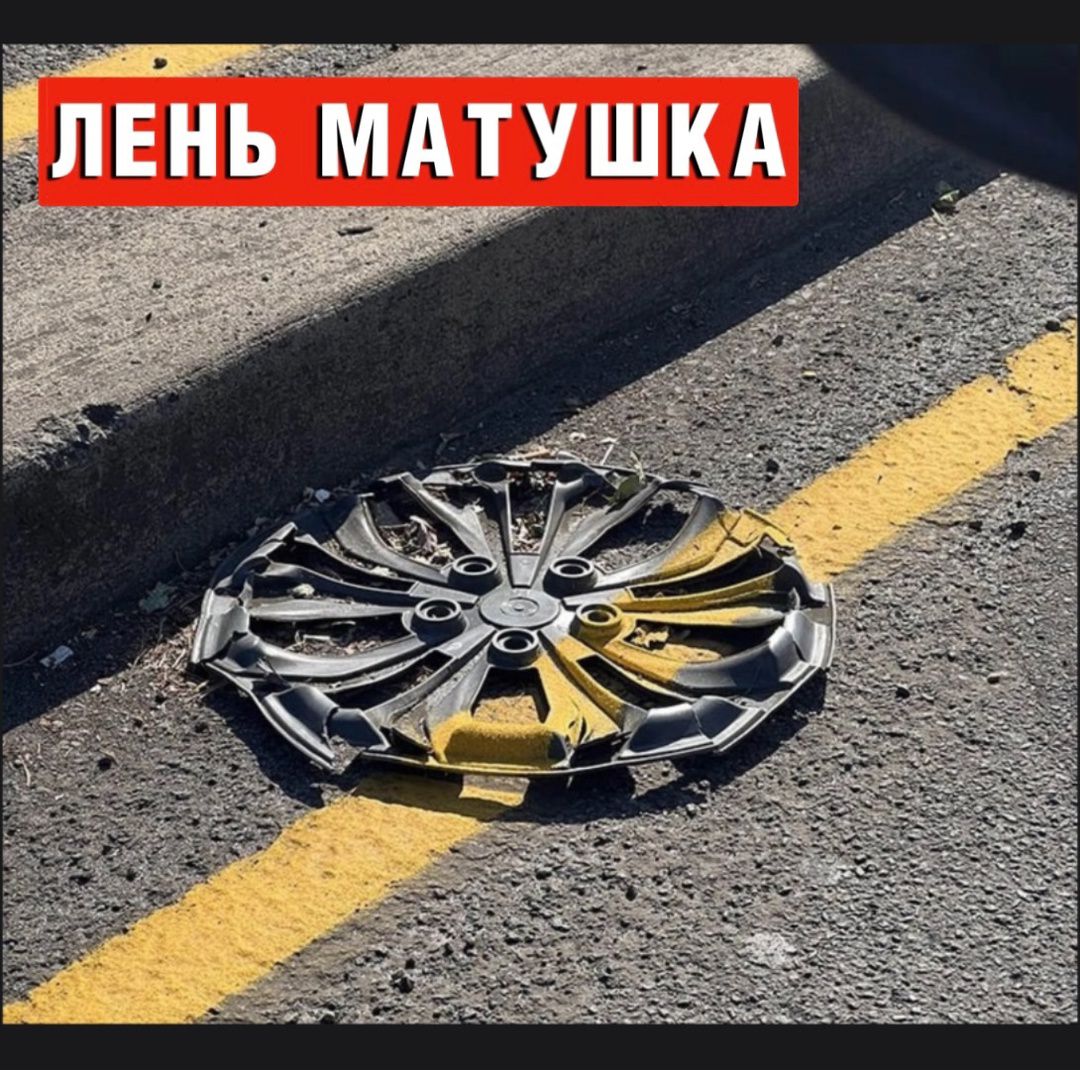 ЛЕНЬ МАТУШКА