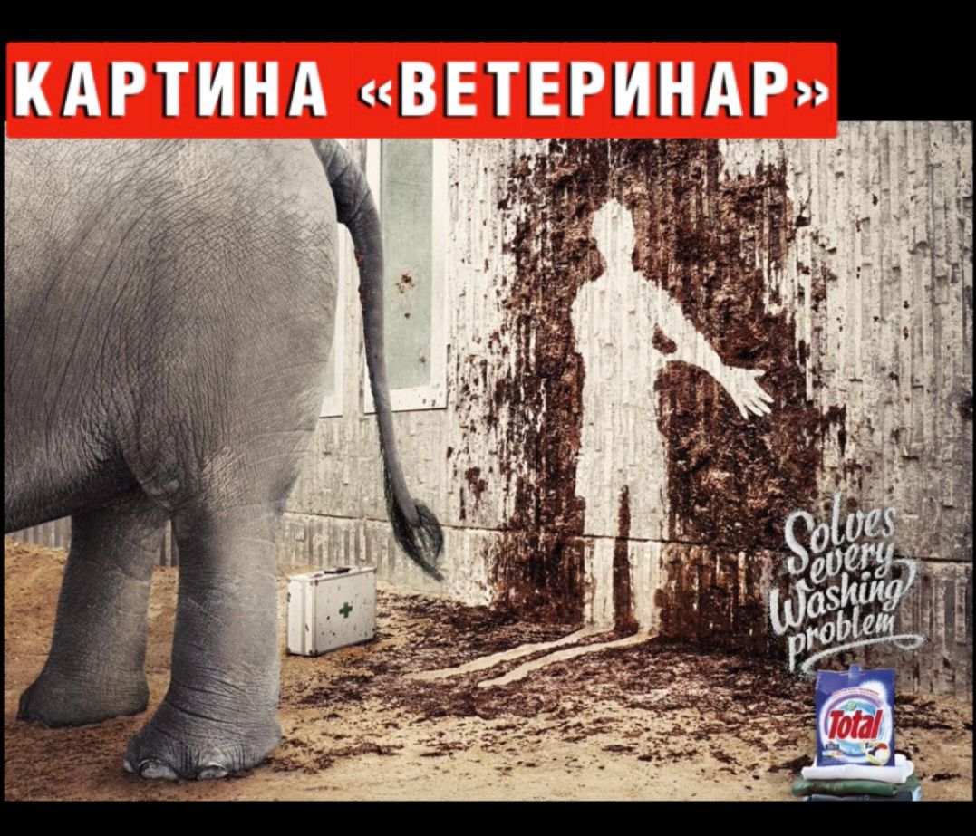 КАРТИНА ВЕТЕРИНАР