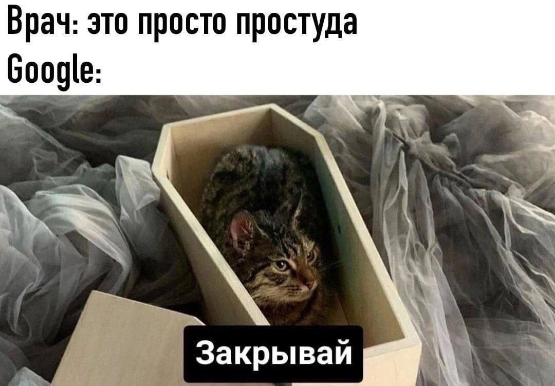 Врач это просто простуда боо0е ч